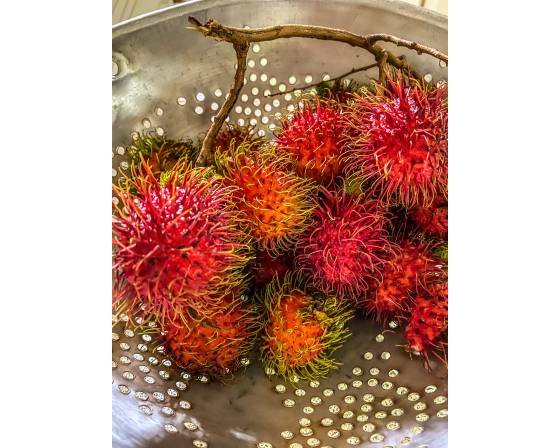 Malaysia Rambutan